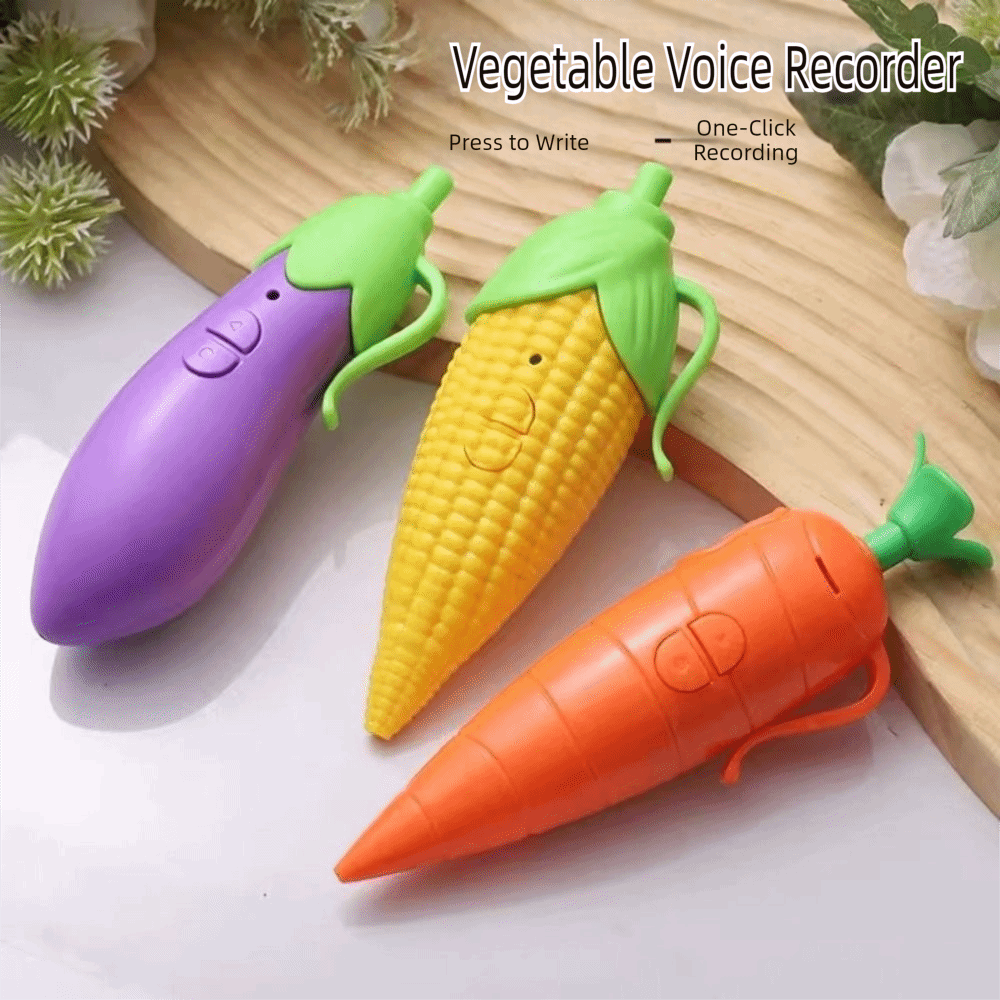 Pena Perekam Suara Simulasi Wo - Voice Recorder Pen ulasan dan harga
